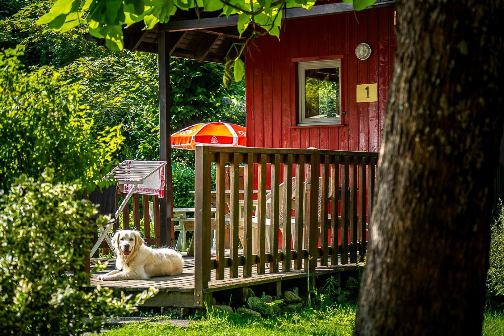 Chalets De La Wormsa メッツェラル エクステリア 写真
